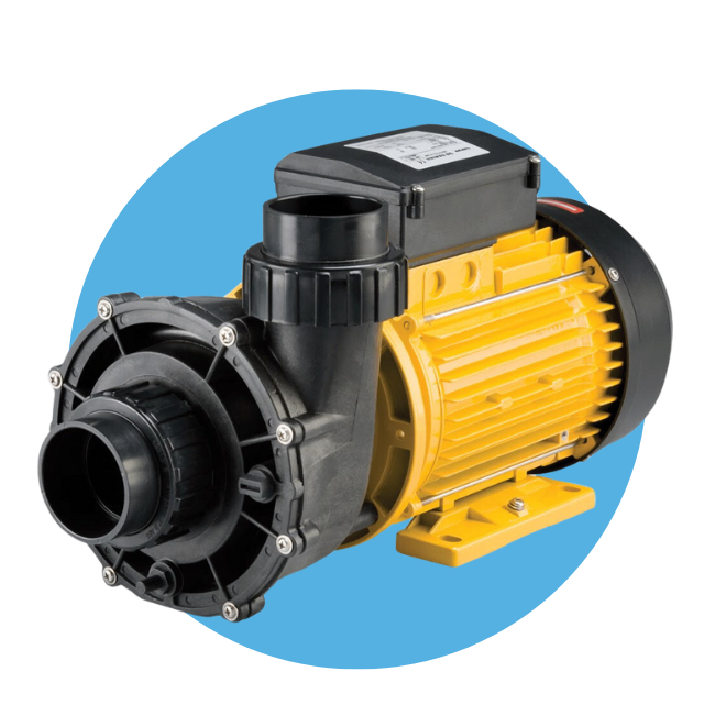 Pool & Spa Pumps